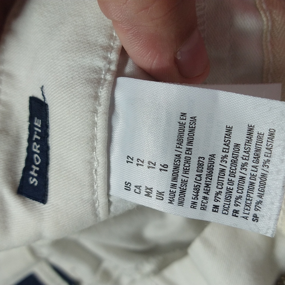 American eagle - Picture 9 of 9